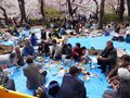 DSCF6963