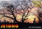 QSL